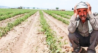 Ekonomik çöküş yaşayanlar pes etti: 46 bin çiftçi tarımdan uzaklaştı