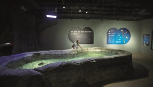 Funtastic Aquarium İzmir Westpark Outlet’te Yeniden Ziyarete Açıldı!