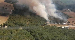 İzmir yine alev alev: Çiçekliköy'de yangın rüzgarın etkisiyle yayıldı