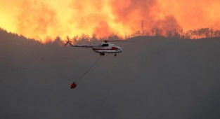 Çocukların ifadeleri alındı: Marmaris'teki orman yangının nedeni belli oldu