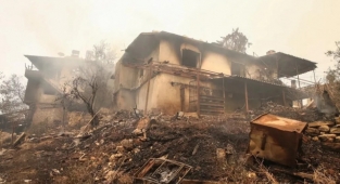 Marmaris ve Manavgat yangınından kareler: Hayvanlar, ormanlar ve evler yandı...