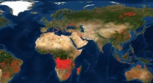 NASA'nın yangın haritasında son durum