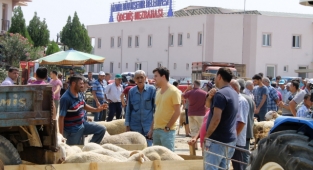 Ödemiş’te kurban satış ve kurban kesim yerleri belli oldu