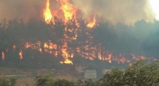 Yangınlarla ilgili ilk bilimsel rapor yayınlandı