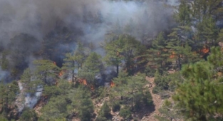 14 gündür devam ediyordu... Köyceğiz yangını kontrol altına alındı
