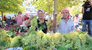 2 bin 600 yıllık gelenek: Urla'da Bağbozumu 