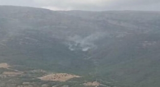 Bir orman yangını da İzmir'de
