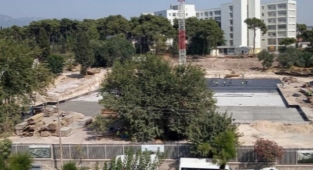 Buca'daki ağaç katliamı Meclis gündeminde