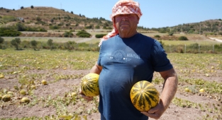 Çeşme kavunu yeniden sahnede!