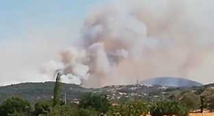 İzmir'de 'Kızılçam Bölgesi'nde yangın paniği!