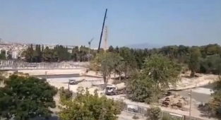 Hastane inşaatında ağaç katliamı: Buca'nın 40 yıllık çam ve zeytin ağaçları söküldü