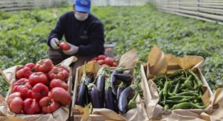 İki yılın en yüksek artışı: Tarımda enflasyon temmuzda yıllık yüzde 22,8 arttı