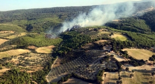 İzmir alev alev: Çeşme, Menderes ve Bergama yanıyor!