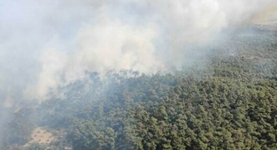İzmir'deki orman yangınları kontrol altına alındı! 