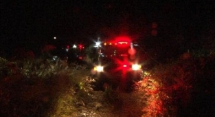 Karabağlar'daki düğünde pes dedirten olay! Havai fişek atarken ormanı yakıyorlardı