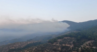 Kaz Dağları'ndaki yangın kontrol altında