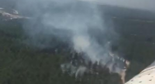 Manisa'da orman yangını: Havadan ve karadan müdahale ediliyor