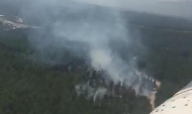 Manisa'da orman yangını: Havadan ve karadan müdahale ediliyor