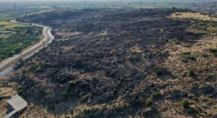 Menemen Doğaköy'de yangın paniği!