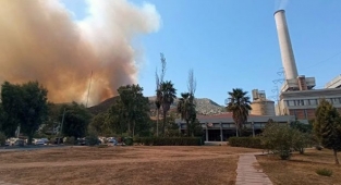 Milas Belediyesi'nden korkutan açıklama: Yangın termik santrale kadar dayandı