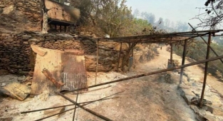 Milas Belediyesi: Yangın, Gürceğiz ve Akçakaya mahallelerini içine aldı