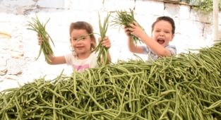 Torbalı'da börülce şöleni!