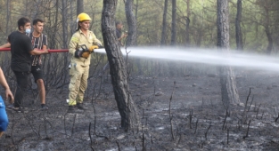 Gaziemir'de orman yangını: Vatandaş kovalarla seferber oldu 