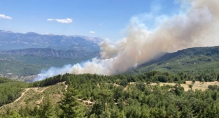Türkiye'nin ciğerleri yanmaya devam ediyor: Manavgat ve Burdur'da orman yangını