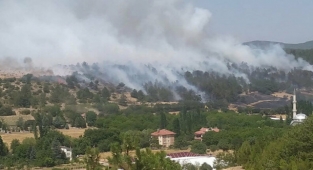 Uşak alev alev: Arazide çıkan yangın ormana sıçradı
