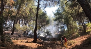 Uşak'ta orman yangını!