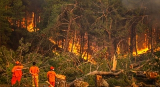 Yangından etkilenen yerler için mücbir sebep kararı!