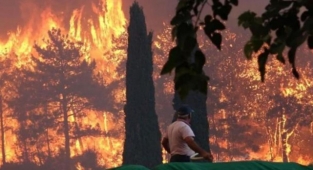 Yangının Manavgat turizmine zararı 3 milyon dolar!