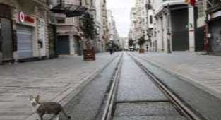 29 Ekim'den sonra kısıtlama geliyor mu?