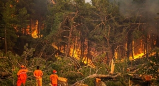 Antalya'da ormanlara giriş yasağı uzatıldı