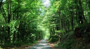 Çanakkale'de ormanlara giriş yasağı uzatıldı