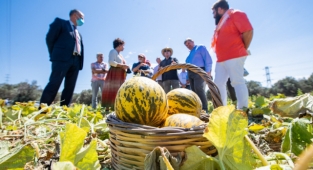 Çeşme kavunu tescillendi