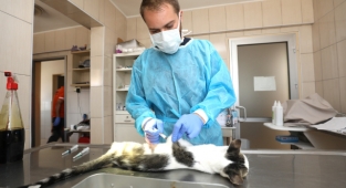 Gaziemir, can dostların yaşam hakkına dikkat çekiyor