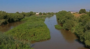 Gediz Nehri kirliliği yargıda!