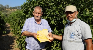 Güzelbahçe Belediyesi’nden narenciye üreticisine büyük destek