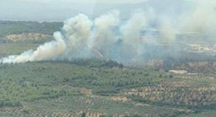 İzmir'de orman yangını: Kemalpaşa alev alev! 