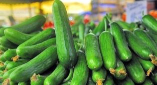 İzmir'de zam şampiyonu: Salatalık!