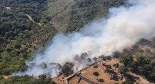 Karatepe'de orman yangını