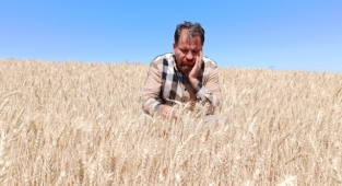 Kuraklıkla boğuşan çiftçiye ödenecek destek belli oldu: 100 TL