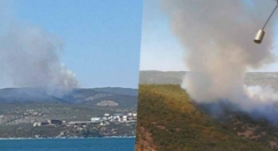 Milas ve Bodrum'da orman yangınları kontrol altına alındı