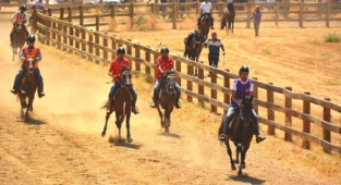 Ödemiş'te dört nala heyecan! 