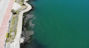 Akdeniz için müsilaj uyarısı: Kahverengileşiyor