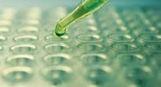 Bakanlıktan evlilik öncesi ücretsiz SMA taraması