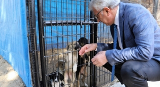 Başkan Eriş: “Sevimli dostlarımız için 365 gün sevgi ve özveriyle çalışıyoruz” 