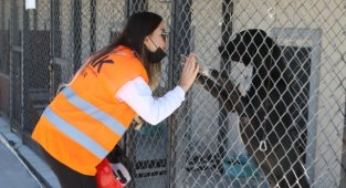 Bayraklı'da hayvanseverlere 'arama-kurtarma' eğitimi 