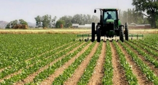 Çiftçi kredisini ödeyemedi, tarlası icradan satışa çıktı